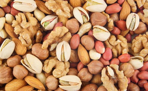 老年人生活不必過度節(jié)儉，7種高蛋白食物值得投入，健康勝過節(jié)省