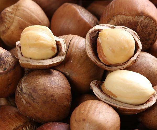 三千年華夏瑰寶 從“堅(jiān)果之王”到冷門(mén)堅(jiān)果的落寞轉(zhuǎn)身